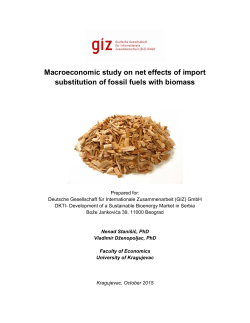 Macroeconomic study - Development of a Sustainable Bioenergy