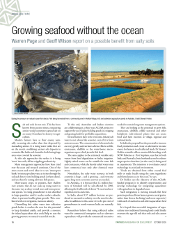Growing seafood without the ocean