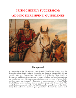 `ad hoc derbhfine` guidelines