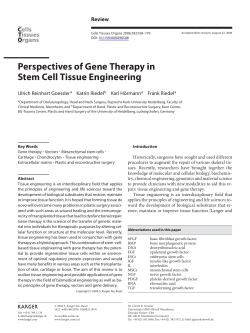 Perspectives of Gene Therapy in Stem Cell Tissue Engineering