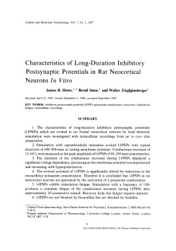 Characteristics of long-duration inhibitory postsynaptic potentials in