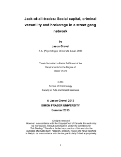 Jack-of-all-trades: social capital, criminal versatility and brokerage in