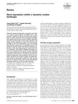 EMBO EMBO EMBO - Albert Einstein College of Medicine