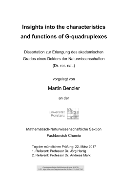 Insights into the characteristics and functions of G