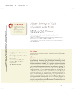 Macro-Ecology of Gulf of Mexico Cold Seeps