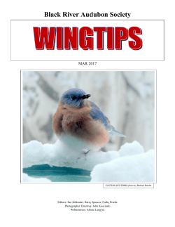 March 2017 - Black River Audubon Society