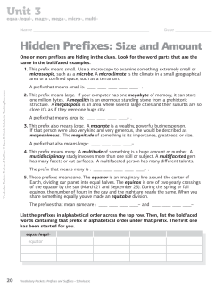 Hidden Prefixes: size and Amount