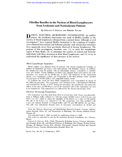 Fibrillar Bundles in the Nucleus of Blood Lymphocytes from