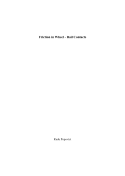 Friction in Wheel - Rail Contacts