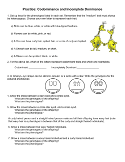 Practice: Codominance and Incomplete Dominance