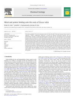 Metal and proton binding onto the roots of Fescue rubra Chemical