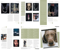 20x24 film sheet brochoure