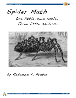 Spider Math - Teacher Bulletin