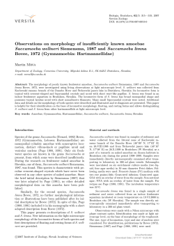 Observations on morphology of insufficiently known