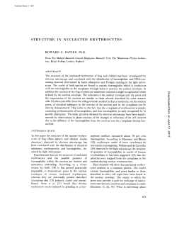 STRUCTURE IN NUCLEATED ERYTHROCYTES on October 7