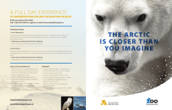 the arctic is closer than you imagine the arctic is closer than you