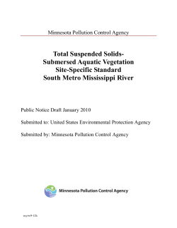 Site Specific Standard - Minnesota Pollution Control Agency