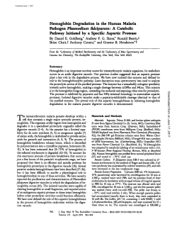 Hemoglobin Degradation in the Human Malaria Pathogen