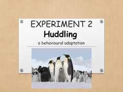 experiment 2 - WordPress.com