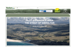 pilot experience area the strait of gibraltar