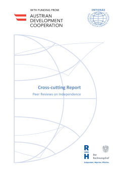 Cross-cutting Report
