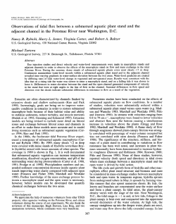 RYBICKI, NANCY B., HARRY L. JENTER, VIRGINIA CARTER