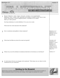 blueprint-for-christian-living-lesson-4-the-meek