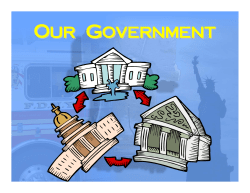 Branches of Government PDF File