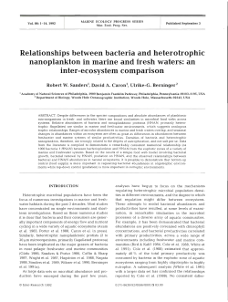 Relationships between bacteria and heterotrophic