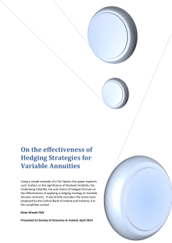 140416 Effectiveness of Hedging Strategies