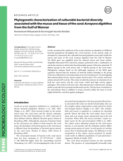 Phylogenetic characterization of culturable bacterial diversity