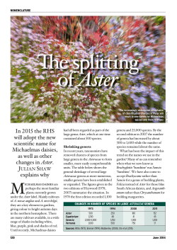 The Plantsman: The splitting of Aster