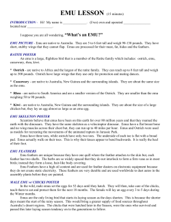 EMU LESSON (15 minutes) INTRODUCTION