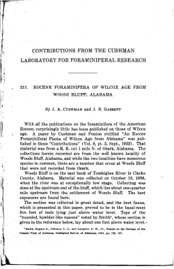 issue 4 - The Cushman Foundation