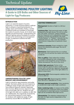 Understanding Poultry Lighting: A Guide to LED Bulbs and Other