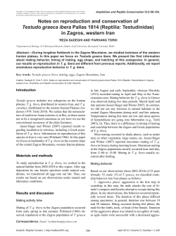 Notes on reproduction and conservation of Testudo graeca ibera