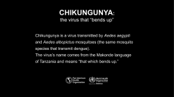 the virus that “bends up”