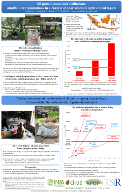 Oil palm