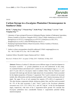 Carbon Storage in a Eucalyptus Plantation Chronosequence in