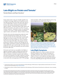 Late Blight on Potato and Tomato - EDIS