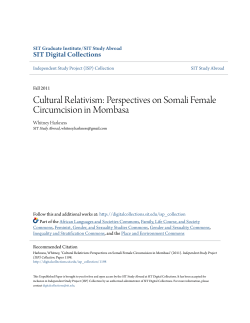 Perspectives on Somali Female Circumcision in Mombasa