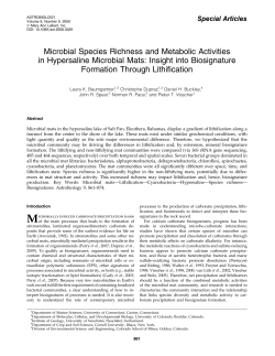 Microbial Species Richness and Metabolic Activities