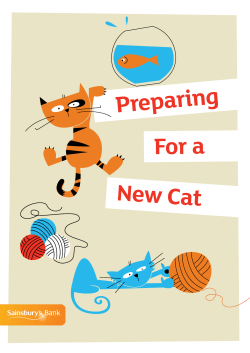 Preparing For a New Cat