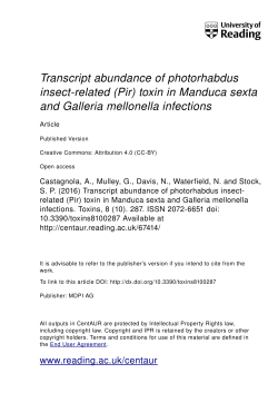 Transcript abundance of photorhabdus insect