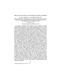 THE FINE STRUCTURE OF CAPILLARIES AND