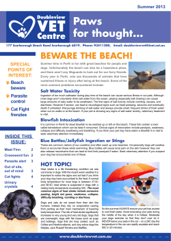 Paws for thought... - Doubleview Vet Centre