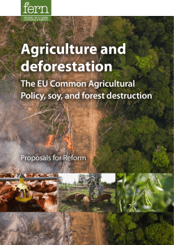 Agriculture and deforestation