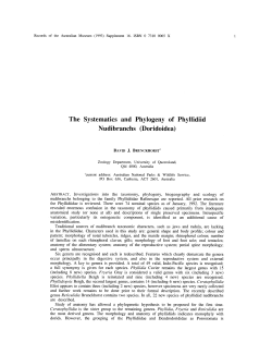 The Systematics and Phylogeny of Phyllidiid Nudibranchs