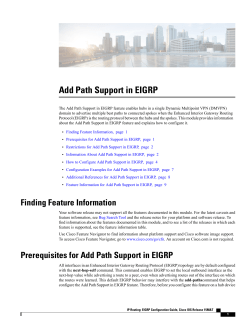 Add Path Support in EIGRP