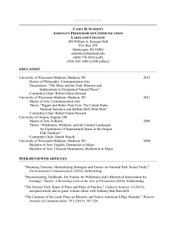 CURRICULUM VITAE - Lakeland University